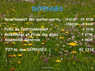DÉPENSES
• Reversement des quotes-parts :- CNOSF : 24 570€
                                         -CIROSF : 2 610€
• Frais de Fonctionnement :                        2 910€
• Indemnités et Frais des élues :                 7 975€
• Assemblée Générale :                            4 057€


  TOTAL des DÉPENSES :                           42 131€



                      EVIAN 04/10/2012                4
 