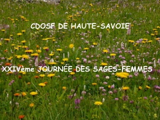 CDOSF DE HAUTE-SAVOIE




XXIVème JOURNÉE DES SAGES-FEMMES




                               1
 