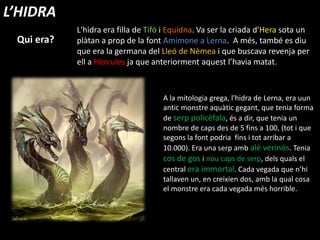 L'hidra era filla de Tifó i Equidna. Va ser la criada d'Hera sota un
plàtan a prop de la font Amimone a Lerna. A més, també es diu
que era la germana del Lleó de Nèmea i que buscava revenja per
ell a Hèrcules ja que anteriorment aquest l’havia matat.
L’HIDRA
Qui era?
A la mitologia grega, l'hidra de Lerna, era uun
antic monstre aquàtic gegant, que tenia forma
de serp policèfala, és a dir, que tenia un
nombre de caps des de 5 fins a 100, (tot i que
segons la font podria fins i tot arribar a
10.000). Era una serp amb alè verinós. Tenia
cos de gos i nou caps de serp, dels quals el
central era immortal. Cada vegada que n’hi
tallaven un, en creixien dos, amb la qual cosa
el monstre era cada vegada més horrible.
 