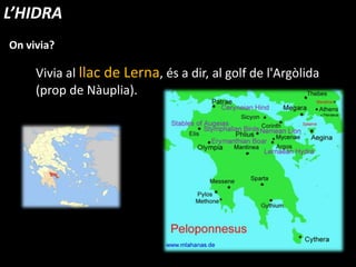 Vivia al llac de Lerna, és a dir, al golf de l'Argòlida
(prop de Nàuplia).
On vivia?
L’HIDRA
 