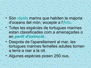 • Són rèptils marins que habiten la majoria
  d'oceans del món, excepte a l'Àrtic.
• Totes les espècies de tortugues marines
  estan classificades com a amenaçades o
  en perill d'extinció .
• Després de l'aparellament al mar, les
  tortugues marines femelles adultes tornen
  a terra a niar a la nit.
• Algunes espècies posen 250 ous.
 