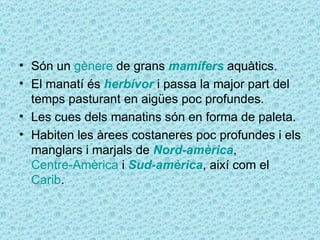 • Són un gènere de grans mamífers aquàtics.
• El manatí és herbívor i passa la major part del
  temps pasturant en aigües poc profundes.
• Les cues dels manatins són en forma de paleta.
• Habiten les àrees costaneres poc profundes i els
  manglars i marjals de Nord-amèrica,
  Centre-Amèrica i Sud-amèrica, així com el
  Carib.
 