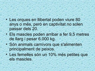 • Les orques en llibertat poden viure 80
  anys o més, però en captivitat no solen
  passar dels 20.
• Els mascles poden arribar a fer 9,5 metres
  de llarg i pesar 6.000 kg.
• Són animals carnívors que s'alimenten
  principalment de peixos.
• Les femelles són un 10% més petites que
  els mascles.
 