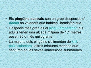 • Els pingüins australs són un grup d'espècies d'
  ocells no voladors que habiten l'hemisferi sud.
• L'espècie més gran és el pingüí emperador: els
  adults tenen una alçada mitjana de 1,1 metres i
  pesen 30 o més quilograms.
• La majoria dels pingüins s'alimenten de krill,
  peix, calamars i altres criatures marines que
  capturen en les seves immersions submarines.
 