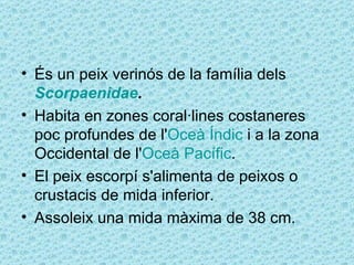 • És un peix verinós de la família dels
  Scorpaenidae.
• Habita en zones coral·lines costaneres
  poc profundes de l'Oceà Índic i a la zona
  Occidental de l'Oceà Pacífic.
• El peix escorpí s'alimenta de peixos o
  crustacis de mida inferior.
• Assoleix una mida màxima de 38 cm.
 