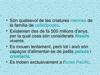 • Són qualsevol de les criatures marines de
  la família de cefalòpodes.
• Existeixen des de fa 500 milions d'anys,
  per la qual cosa són considerats fòssils
  vivents.
• Es mouen lentament, però tot i això són
  capaços d'alimentar-se de petits peixos i
  crustacis.
• Es troben exclusivament a l'oceà Pacífic.
 