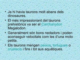 • Ja hi havia taurons molt abans dels
  dinosaures.
• El més impressionant del taurons
  prehistòrics va ser el Carcharodon
  Megalodon.
• Generalment són bons nedadors i poden
  aconseguir velocitats com les d’una moto
  petita.
• Els taurons mengen peixos, tortugues o
  crustacis i fins i tot aus aquàtiques.
 