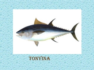 toNyiNA
 