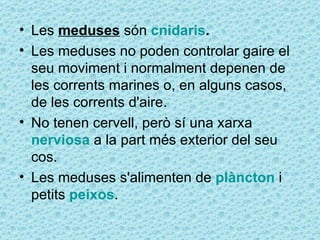• Les meduses són cnidaris.
• Les meduses no poden controlar gaire el
  seu moviment i normalment depenen de
  les corrents marines o, en alguns casos,
  de les corrents d'aire.
• No tenen cervell, però sí una xarxa
  nerviosa a la part més exterior del seu
  cos.
• Les meduses s'alimenten de plàncton i
  petits peixos.
 