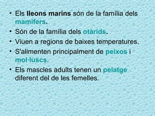• Els lleons marins són de la família dels
  mamífers.
• Són de la família dels otàrids.
• Viuen a regions de baixes temperatures.
• S'alimenten principalment de peixos i
  mol·luscs.
• Els mascles adults tenen un pelatge
  diferent del de les femelles.
 