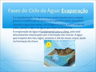 ∗ É a transformação da água no seu estado líquido para o estado
gasoso à medida que se desloca da superfície para a atmosfera
Quando a água dos mares, rios e lagos evapora, com a acção do
calor, passa a vapor de água, que sobe na atmosfera
A evaporação da água é fundamental para o clima, pois está
directamente relacionada com a formação das chuvas. A água
que evapora dos rios, lagos, oceanos e até do nosso corpo, ajuda
na formaçao da chuva
Fases do Ciclo da Água: Evaporação
 