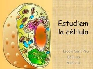 Estudiem
la cèl·lula

 Escola Sant Pau
    6è Curs
   2009-10
 