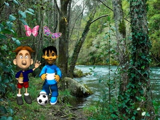 Pwp conte papallones