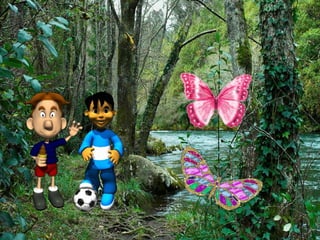 Pwp conte papallones