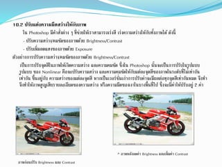 10.2 ปรับแต่งความมืดสว่างให้กับภาพ
ใน Photoshop มีคำสั่งต่ำง ๆ ที่ช่วยให้เรำสำมำรถเร่งสี เร่งควำมสว่ำงให้กับทั้งภำพได้ ดังนี้
- ปรับควำมสว่ำง/คมชัดของภำพด้วย Brightness/Contrast
- ปรับเพิ่มลดแสงของภำพด้วย Exposure
ตัวอย่ำงกำรปรับควำมสว่ำง/คมชัดของภำพด้วย Brightness/Contrast
เป็นกำรปรับจดสีในภำพให้เกิดควำมสว่ำง และควำมคมชัด ซึ่งใน Photoshop นั้นจะเป็นกำรปรับในรูปแบบ
รูปแบบ ของ Nonlinear คือจะปรับควำมสว่ำง และควำมคมชัดให้กับแต่ละจดสีของภำพในระดับที่ไม่เท่ำกัน
เท่ำกัน ขึ้นอยู่กับ ควำมสว่ำงของแต่ละจดสี หำกเป็นเวอร์ชั่นเก่ำกำรปรับค่ำจะมีผลต่อทกจดสีเท่ำกันหมด จึงทำ
จึงทำให้ภำพสูญเสียรำยละเอียดของควำมสว่ำง หรือควำมมืดของเงำในบำงพื้นที่ไป ซึ่งจะมีค่ำให้ปรับอยู่ 2 ค่ำ
ภำพก่อนปรับ Brightness และ Contrast
^ ภำพหลังลดค่ำ Brightness และเพิ่มค่ำ Contrast
 