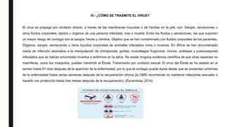 IV.- ¿CÓMO SE TRASMITE EL VIRUS?
El virus se propaga por contacto directo, a través de las membranas mucosas o de heridas en la piel, con: Sangre, secreciones u
otros fluidos corporales, tejidos u órganos de una persona infectada, viva o muerta. Entre los fluidos y secreciones, las que suponen
un mayor riesgo de contagio son la sangre, heces y vómitos. Objetos que se han contaminado con fluidos corporales de los pacientes.
Órganos, sangre, secreciones u otros líquidos corporales de animales infectados vivos o muertos. En África se han documentado
casos de infección asociados a la manipulación de chimpancés, gorilas, murciélagos frugívoros, monos, antílopes y puercoespines
infectados que se habían encontrado muertos o enfermos en la selva. No existe ninguna evidencia científica de que otras especies no
mamíferas, como los mosquitos, puedan transmitir el Ébola. Transmisión por contacto sexual: El virus del Ébola se ha aislado en el
semen hasta 61 días después de la aparición de la enfermedad, por lo que el contagio puede darse desde que se presentan síntomas
de la enfermedad hasta varias semanas después de la recuperación clínica (la OMS recomienda no mantener relaciones sexuales o
hacerlo con protección hasta tres meses después de la recuperación). (Escambray, 2014)
 