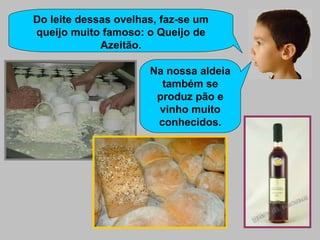 Do leite dessas ovelhas, faz-se um queijo muito famoso: o Queijo de Azeitão. Na nossa aldeia também se produz pão e vinho muito conhecidos. 