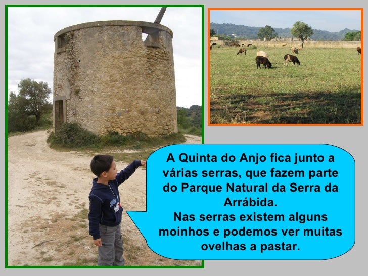 Quinta do Anjo