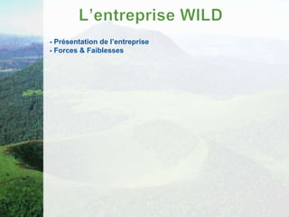 - Présentation de l’entreprise
- Forces & Faiblesses
 