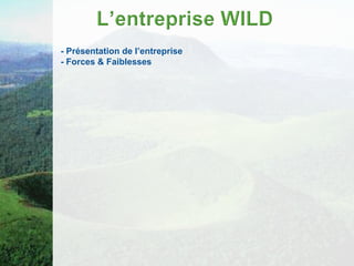 - Présentation de l’entreprise
- Forces & Faiblesses
 