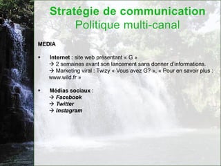 MEDIA

   Internet : site web présentant « G »
     2 semaines avant son lancement sans donner d’informations.
     Marketing viral : Twizy « Vous avez G? », « Pour en savoir plus :
    www.wild.fr »

   Médias sociaux :
     Facebook
     Twitter
     Instagram
 