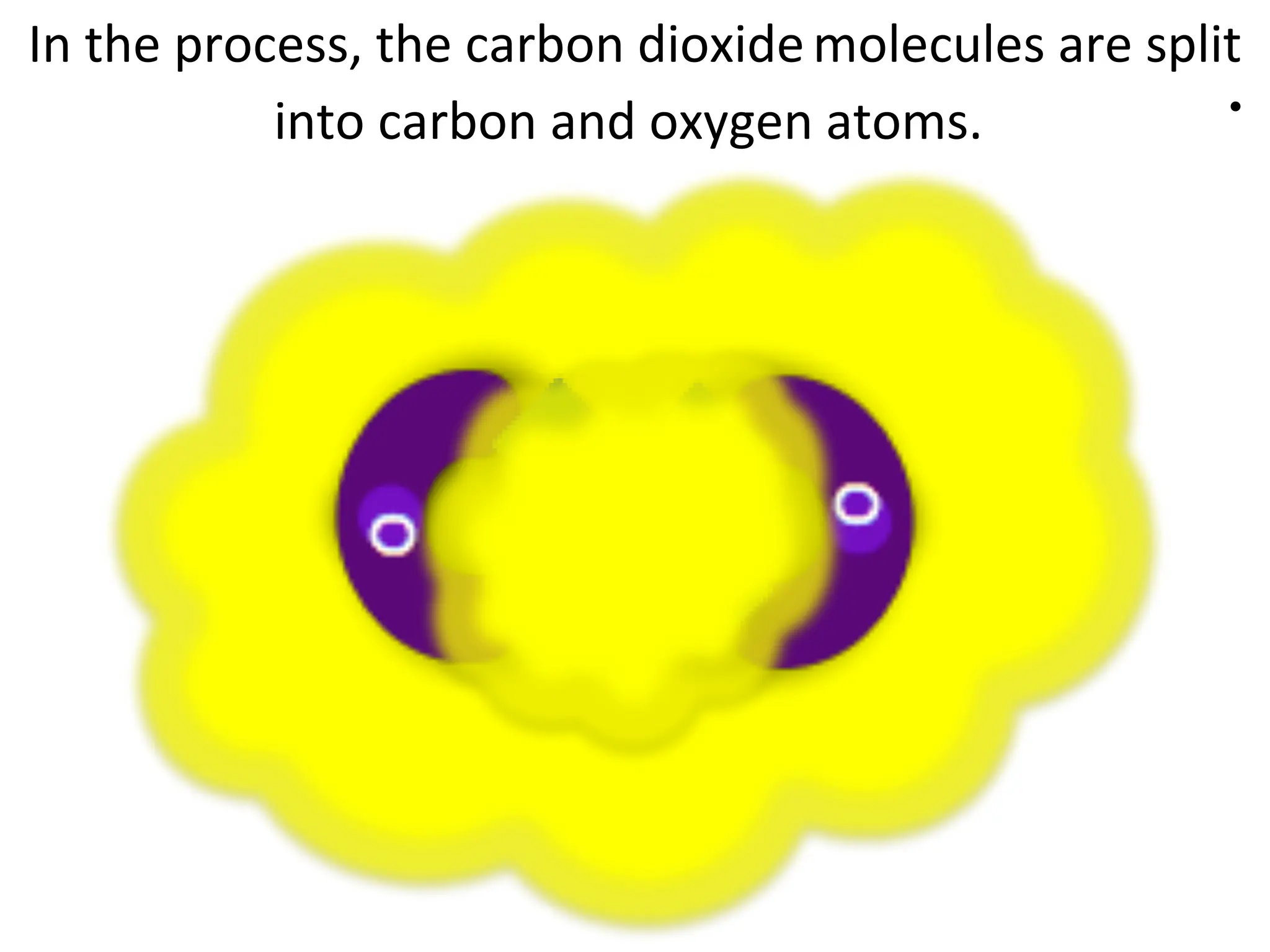 pw-photosynthesis-presentation-pdf