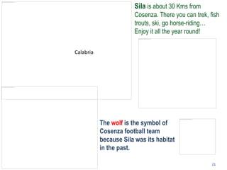 21
Calabria
The wolf is the symbol of
Cosenza football team
because Sila was its habitat
in the past.
Sila is about 30 Kms from
Cosenza. There you can trek, fish
trouts, ski, go horse-riding…
Enjoy it all the year round!
 
