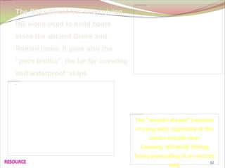The Sila’s forest has been giving
the wood used to build boats
since the ancient Greek and
Roman times. It gave also the
“pece brettia”, the tar for covering
and waterproof ships.

The “maestri d’ascia” (masters
in using axe), especially at the
Ionian seaside near
Cosenza, still build fishing
boats proceeding in an ancient
way. 32
 