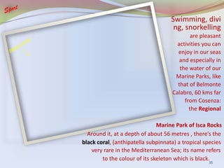Swimming, divi
ng, snorkelling
are pleasant
activities you can
enjoy in our seas
and especially in
the water of our
Marine Parks, like
that of Belmonte
Calabro, 60 kms far
from Cosenza:
the Regional
Around it, at a depth of about 56 metres , there’s the
black coral, (anthipatella subpinnata) a tropical species
very rare in the Mediterranean Sea; its name refers
to the colour of its skeleton which is black.
Marine Park of Isca Rocks
35
 