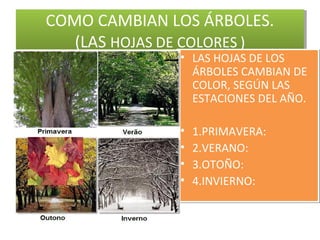 COMO CAMBIAN LOS ÁRBOLES.
(LAS HOJAS DE COLORES )
COMO CAMBIAN LOS ÁRBOLES.
(LAS HOJAS DE COLORES )
• LAS HOJAS DE LOS
ÁRBOLES CAMBIAN DE
COLOR, SEGÚN LAS
ESTACIONES DEL AÑO.
• 1.PRIMAVERA:
• 2.VERANO:
• 3.OTOÑO:
• 4.INVIERNO:
• LAS HOJAS DE LOS
ÁRBOLES CAMBIAN DE
COLOR, SEGÚN LAS
ESTACIONES DEL AÑO.
• 1.PRIMAVERA:
• 2.VERANO:
• 3.OTOÑO:
• 4.INVIERNO:
 