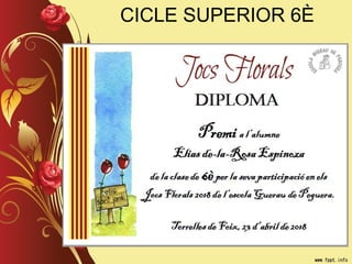 CICLE SUPERIOR 6È
 