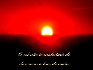 O sol não te molestará de  dia, nem a lua, de noite.