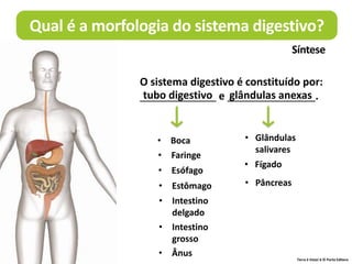 Terra à Vista! 6 © Porto Editora
O sistema digestivo é constituído por:
_____________ e _______________.
tubo digestivo glândulas anexas
Síntese
• Boca
• Faringe
• Esófago
• Estômago
• Intestino
delgado
• Intestino
grosso
• Ânus
• Glândulas
salivares
• Fígado
• Pâncreas
Qual é a morfologia do sistema digestivo?
 