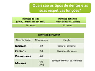 Quais são os tipos de dentes e as
suas respetivas funções?
DENTIÇÃO DEFINITIVA
Tipos de dentes Nº de dentes Função
Incisivos 4+4 Cortar os alimentos
Caninos 2+2 Rasgar os alimentos
Pré molares 4+4
Esmagar e triturar os alimentos
Molares
6+6
(2+2)
Dentição de leite
(Dos 6/7 meses aos 3/4 anos)
Dentição definitiva
(dos 6 anos aos 12 anos)
20 dentes 32 dentes
 
