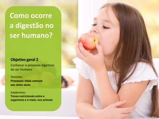 Como ocorre
a digestão no
ser humano?
Objetivo geral 2
Conhecer o processo digestivo
do ser humano
Domínio:
Processos vitais comuns
aos seres vivos
Subdomínio:
Trocas nutricionais entre o
organismo e o meio: nos animais
Terra à Vista! 6 © Porto Editora
 