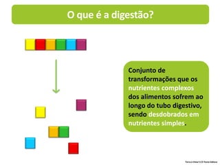 O que é a digestão?
Terra à Vista! 6 © Porto Editora
Conjunto de
transformações que os
nutrientes complexos
dos alimentos sofrem ao
longo do tubo digestivo,
sendo desdobrados em
nutrientes simples.
 