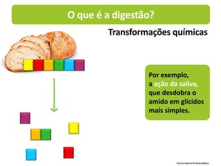 Terra à Vista! 6 © Porto Editora
Por exemplo,
a ação da saliva,
que desdobra o
amido em glícidos
mais simples.
Transformações químicas
O que é a digestão?
 