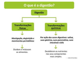 O que é a digestão?
Terra à Vista! 6 © Porto Editora
Digestão
Transformações
________
Transformações
________
Dividem e misturam
os alimentos. Desdobram os nutrientes
nos seus componentes
mais simples.
físicas químicas
Mastigação, deglutição e
movimentos peristálticos
Por ação dos sucos digestivos: saliva,
suco gástrico, suco pancreático, suco
intestinal e bílis
 