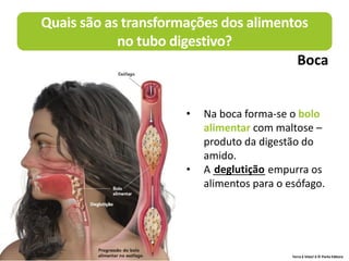 • Na boca forma-se o bolo
alimentar com maltose –
produto da digestão do
amido.
• A _________ empurra os
alimentos para o esófago.
deglutição
Quais são as transformações dos alimentos
no tubo digestivo?
Boca
Terra à Vista! 6 © Porto Editora
 