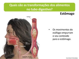 • Os movimentos do
esófago empurram
o seu conteúdo
para o estômago.
Quais são as transformações dos alimentos
no tubo digestivo?
Estômago
Terra à Vista! 6 © Porto Editora
 