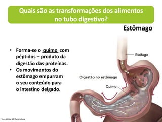 Terra à Vista! 6 © Porto Editora
• Forma-se o ______ com
péptidos – produto da
digestão das proteínas.
• Os movimentos do
estômago empurram
o seu conteúdo para
o intestino delgado.
quimo
Quais são as transformações dos alimentos
no tubo digestivo?
Estômago
 