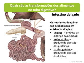 Terra à Vista! 6 © Porto Editora
Os nutrientes do quimo
são desdobrados em
nutrientes simples:
• _______ – produto da
digestão dos glícidos;
• ___________ –
produto da digestão
das proteínas;
• ______ ______–
produto da digestão
dos lípidos.
glicose
aminoácidos
ácidos gordos
Quais são as transformações dos alimentos
no tubo digestivo?
Intestino delgado
 