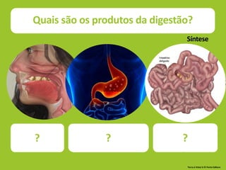 Terra à Vista! 6 © Porto Editora
Quimo com glicose,
aminoácidos e ácidos
gordos, no intestino
delgado.
Quimo com péptidos, no
estômago.
Bolo alimentar com
maltose, na boca.
Quais são os produtos da digestão?
Síntese
? ? ?
 