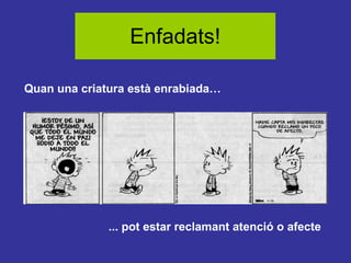 Enfadats!
Quan una criatura està enrabiada…

... pot estar reclamant atenció o afecte

 