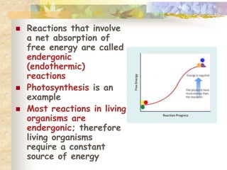  Reactions that involve 
a net absorption of 
free energy are called 
endergonic 
(endothermic) 
reactions 
 Photosynthesis is an 
example 
 Most reactions in living 
organisms are 
endergonic; therefore 
living organisms 
require a constant 
source of energy 
 