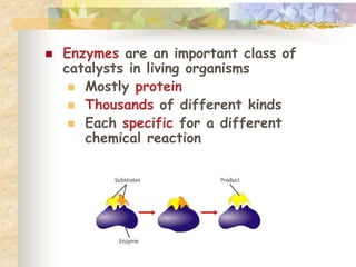  Enzymes are an important class of 
catalysts in living organisms 
 Mostly protein 
 Thousands of different kinds 
 Each specific for a different 
chemical reaction 
 