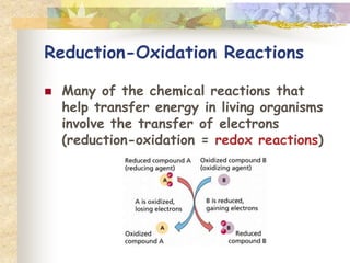 Reduction-Oxidation Reactions 
 Many of the chemical reactions that 
help transfer energy in living organisms 
involve the transfer of electrons 
(reduction-oxidation = redox reactions) 
 