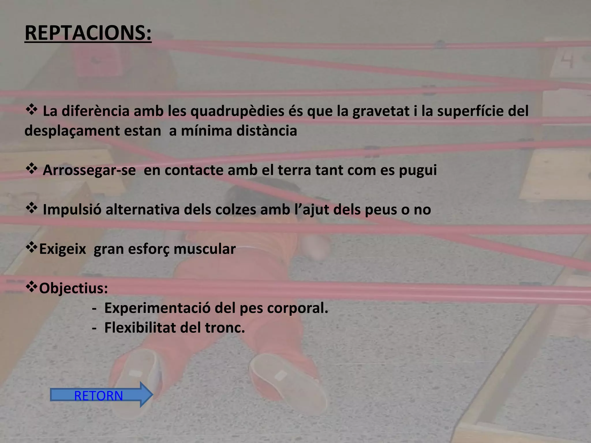 REPTACIONS: La diferència amb les quadrupèdies és que la gravetat i la superfície del  desplaçament estan  a mínima distància A rrossegar-se  en contacte amb el terra tant com es pugui Impulsió alternativa dels colzes amb l’ajut dels peus o no Exigeix  gran esforç muscular  Objectius:  -  Experimentació del pes corporal. -  Flexibilitat del tronc.   RETORN 