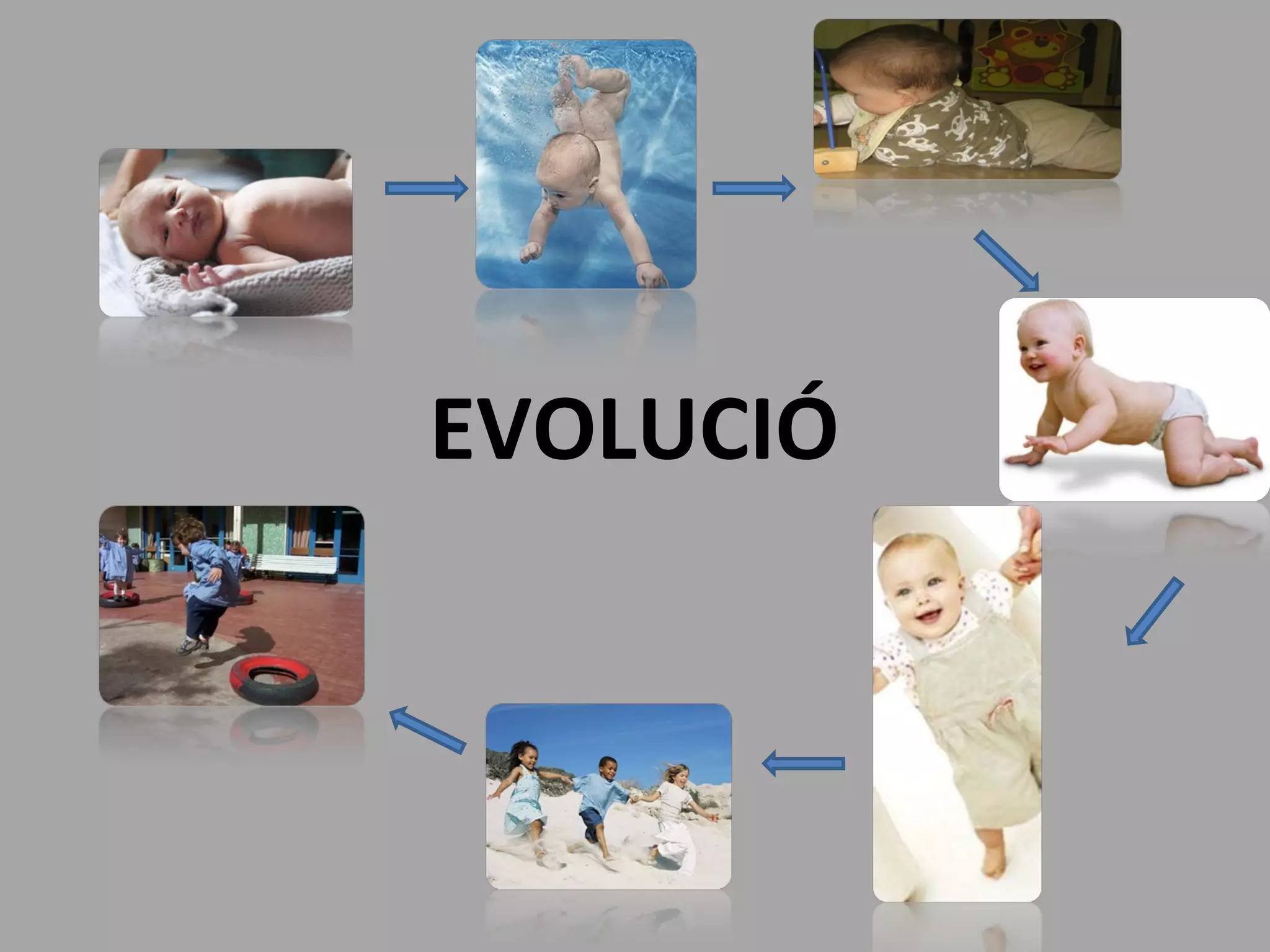 EVOLUCIÓ 