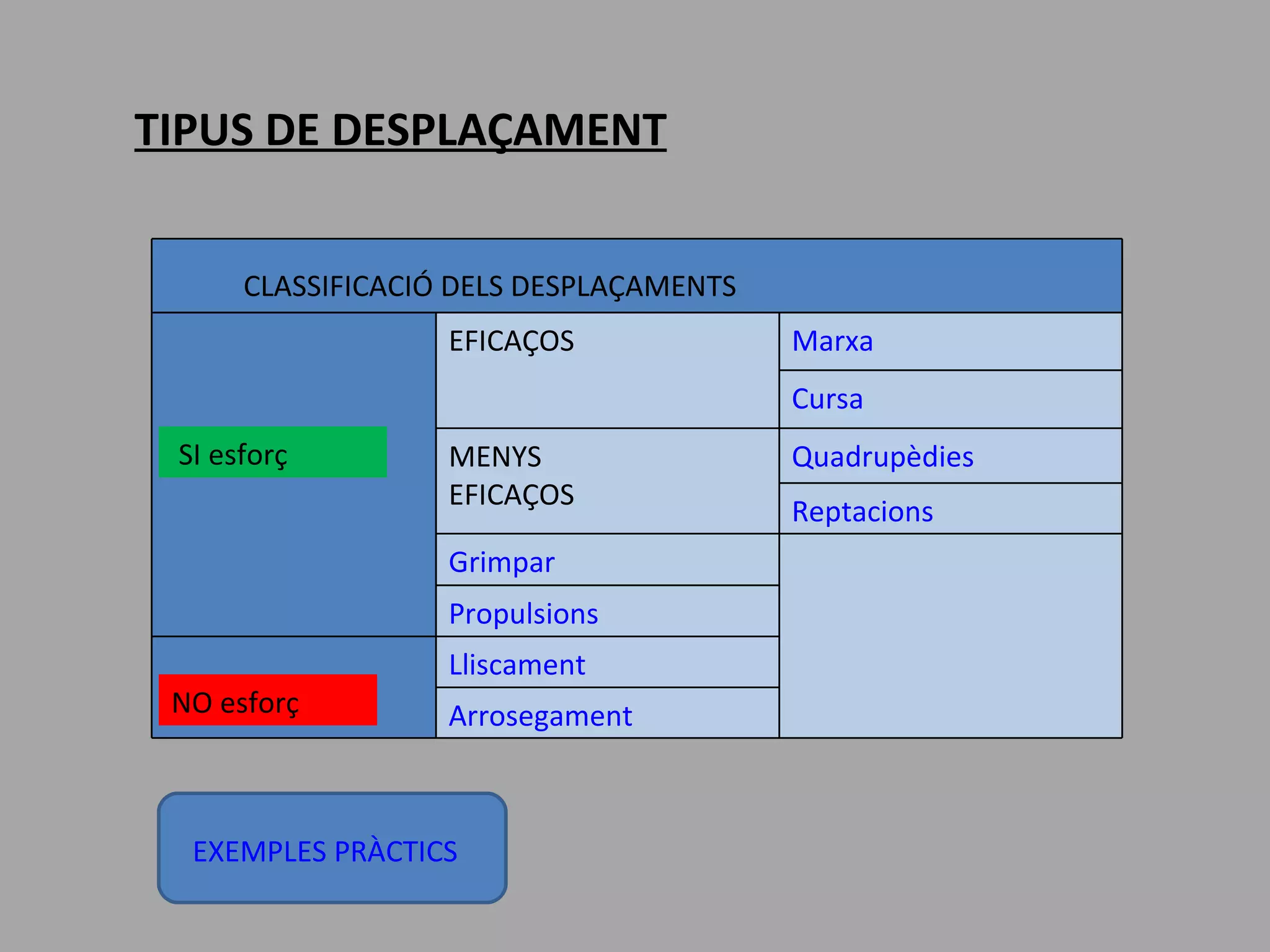 TIPUS DE DESPLAÇAMENT CLASSIFICACIÓ DELS DESPLAÇAMENTS EXEMPLES PRÀCTICS SI esforç  NO esforç ACTIUS EFICAÇOS Marxa Cursa MENYS EFICAÇOS Quadrupèdies Reptacions Grimpar Propulsions PASSIUS Lliscament Arrosegament 